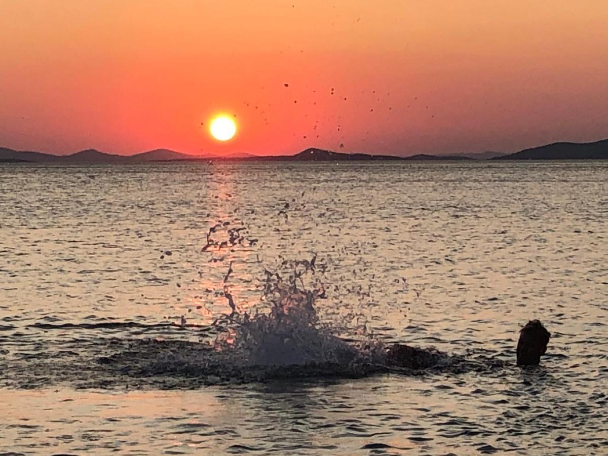 Ecobeachvilla Buqez 9 Pakoštane Eksteriør billede