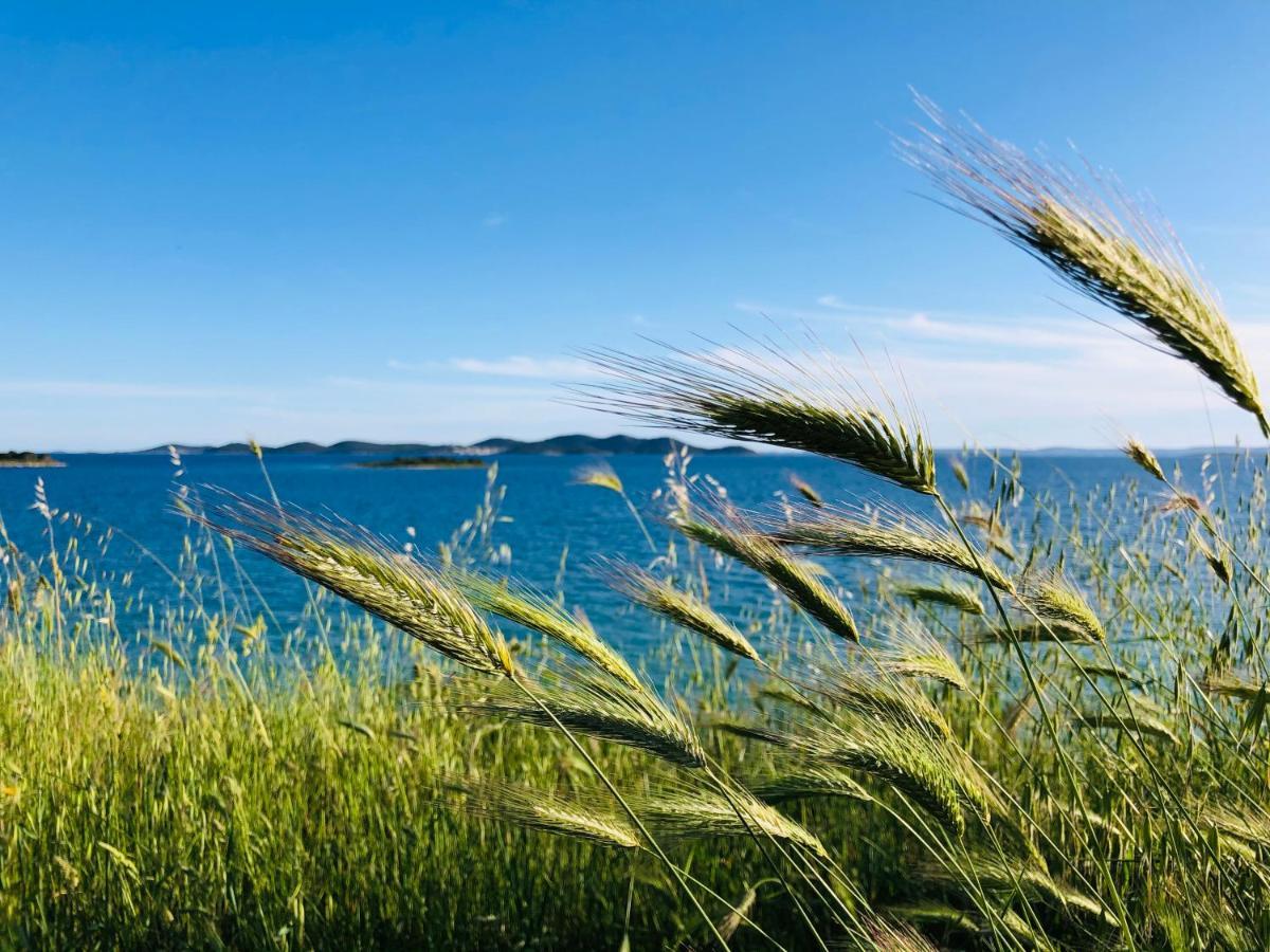 Ecobeachvilla Buqez 9 Pakoštane Eksteriør billede